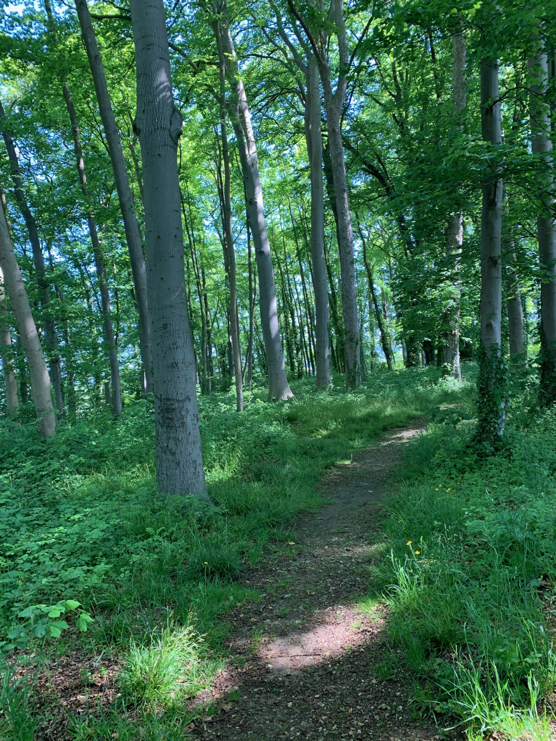 Escale à Duclair de la résidence fluviale